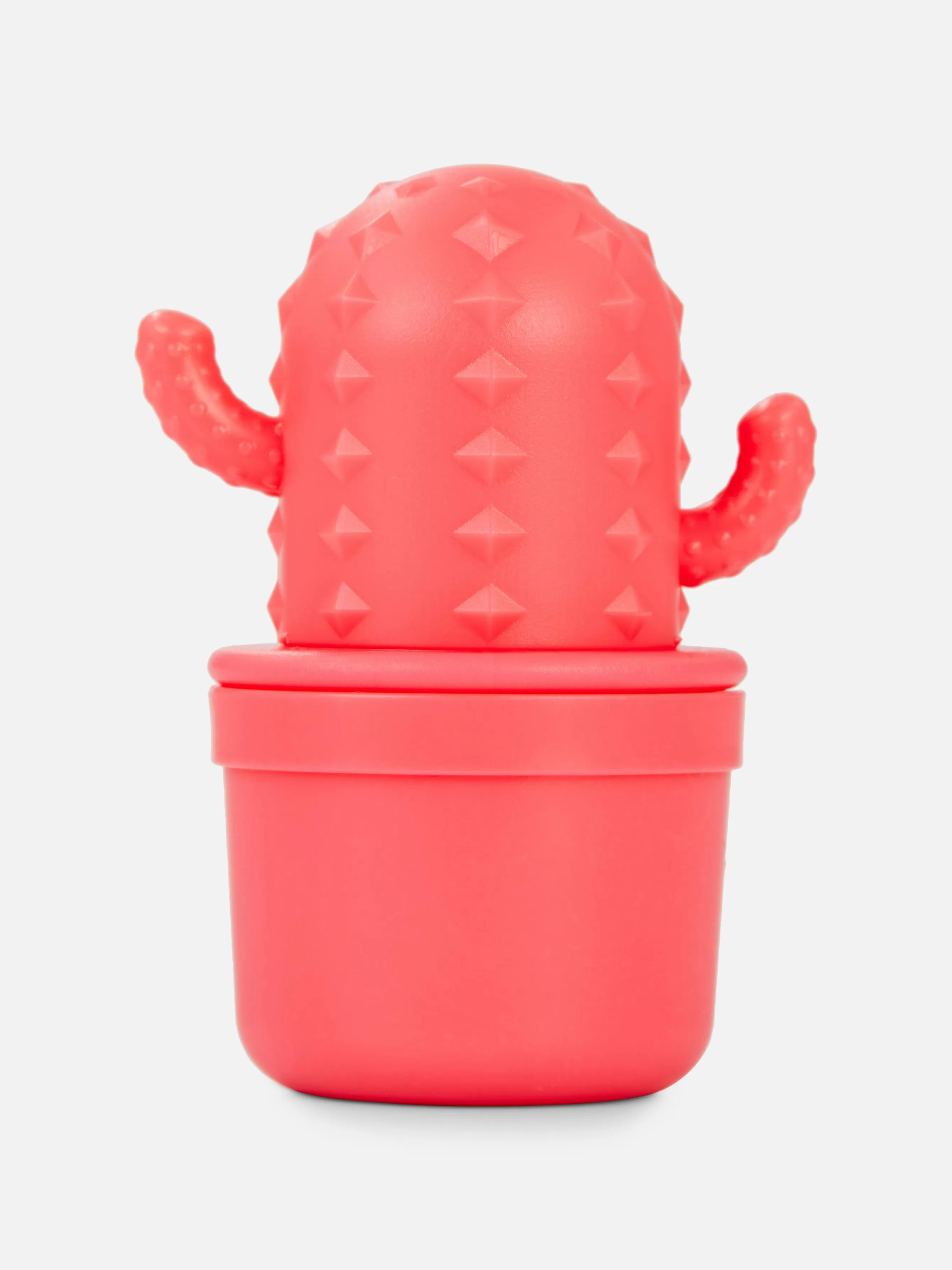 Discount Primark Baume à Lèvres Cactus PS... Multicolore