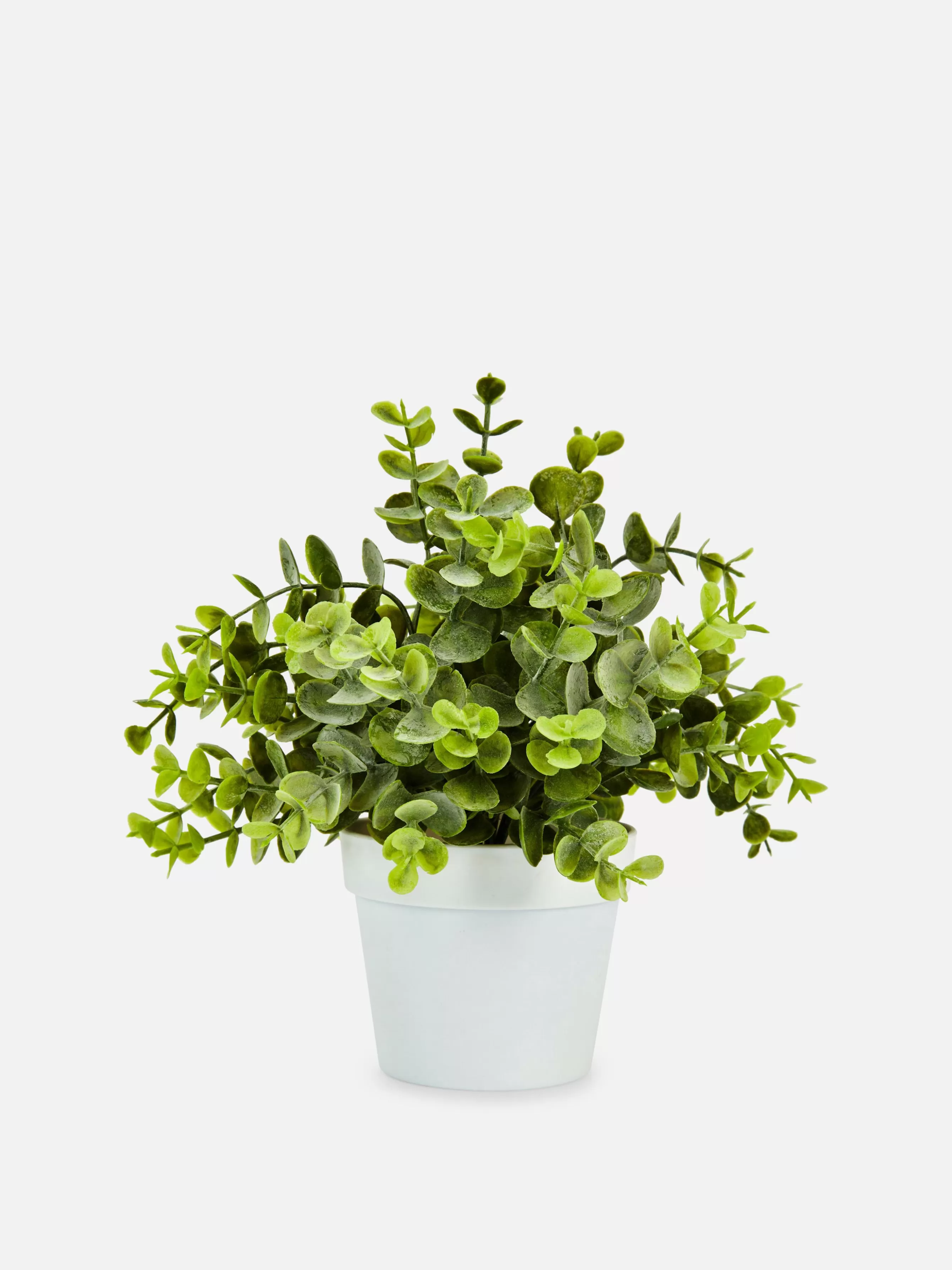 Cheap Primark Petit Eucalyptus Artificiel Blanc