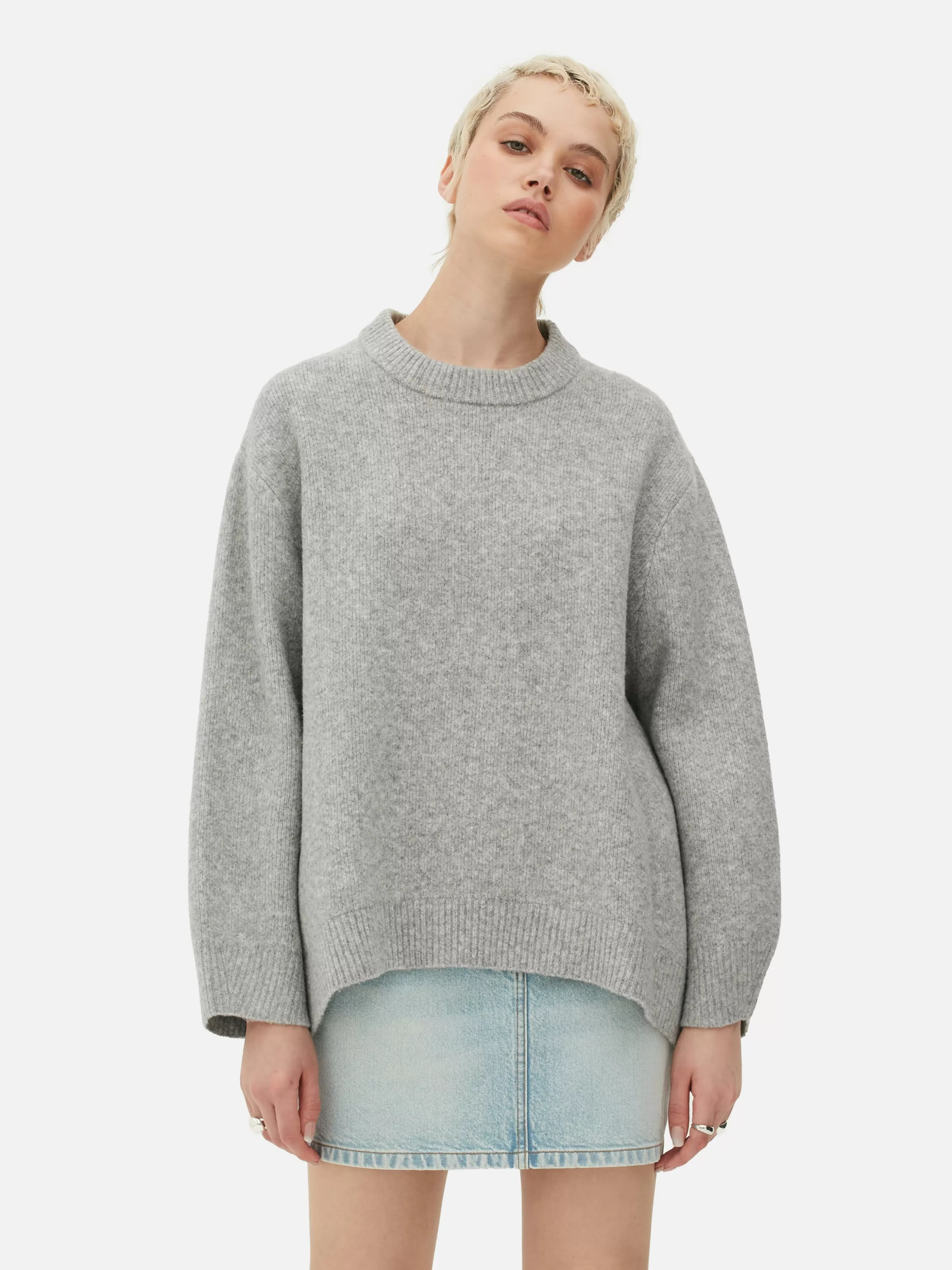 Cheap Primark Pull à Col Ras-du-cou Oversize Gris clair