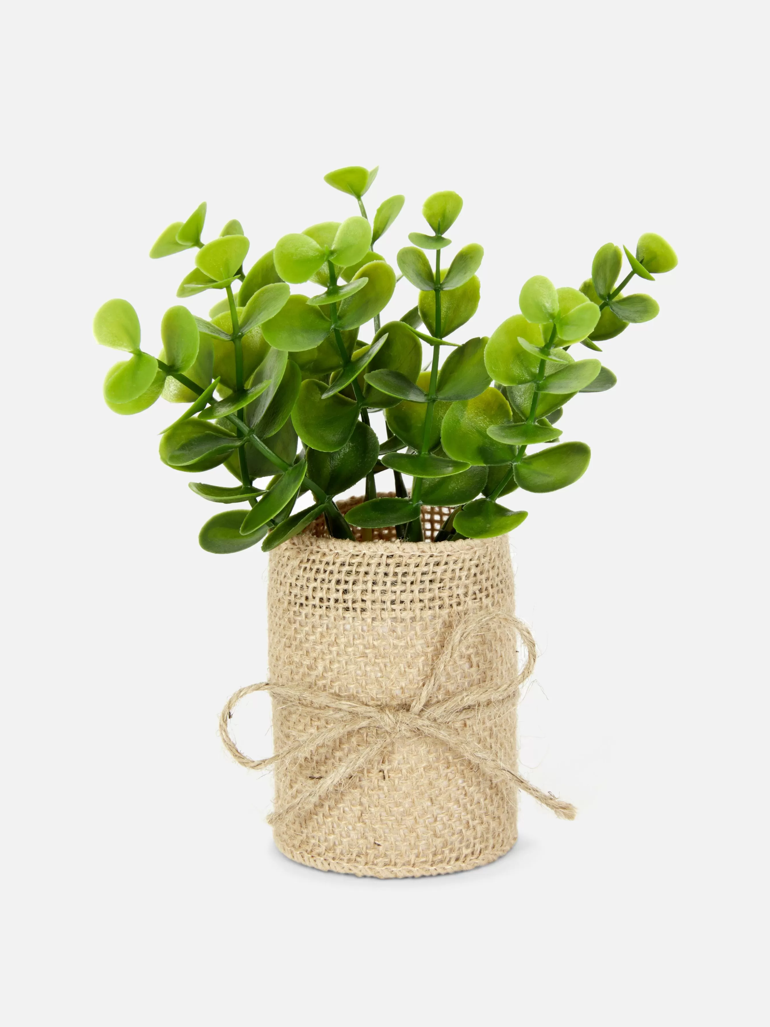 Store Primark Succulente Artificielle Dans Un Pot En Jute Multicolore