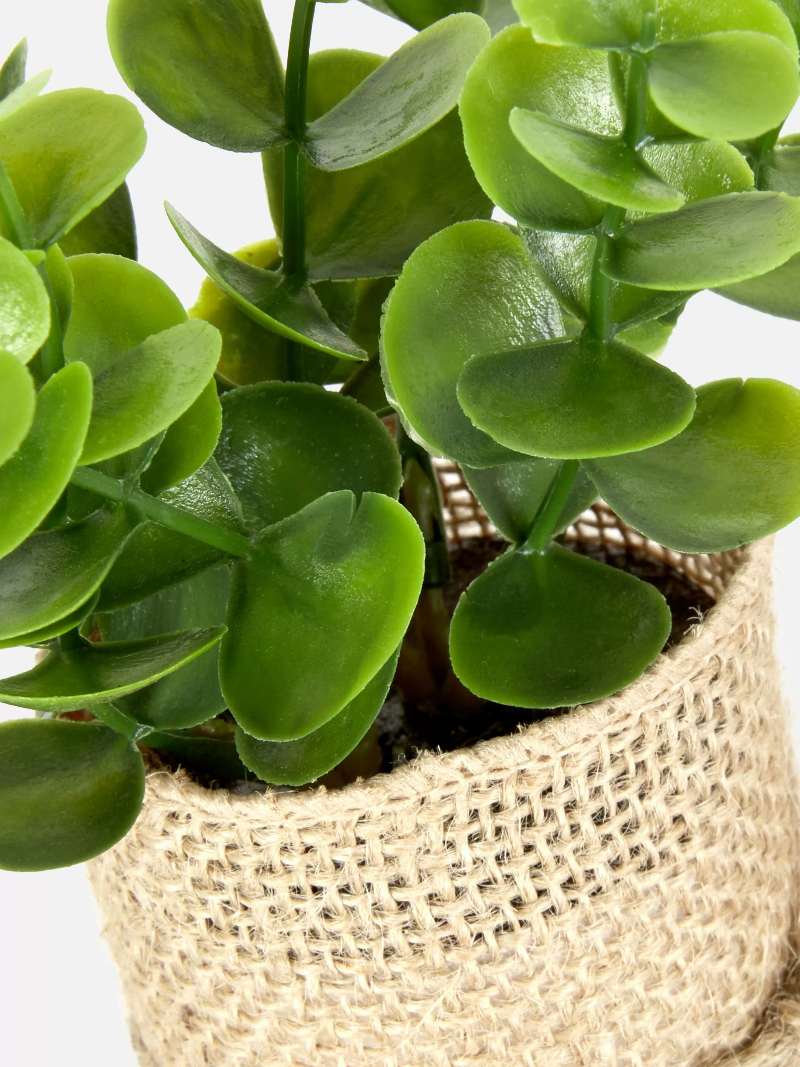 Store Primark Succulente Artificielle Dans Un Pot En Jute Multicolore