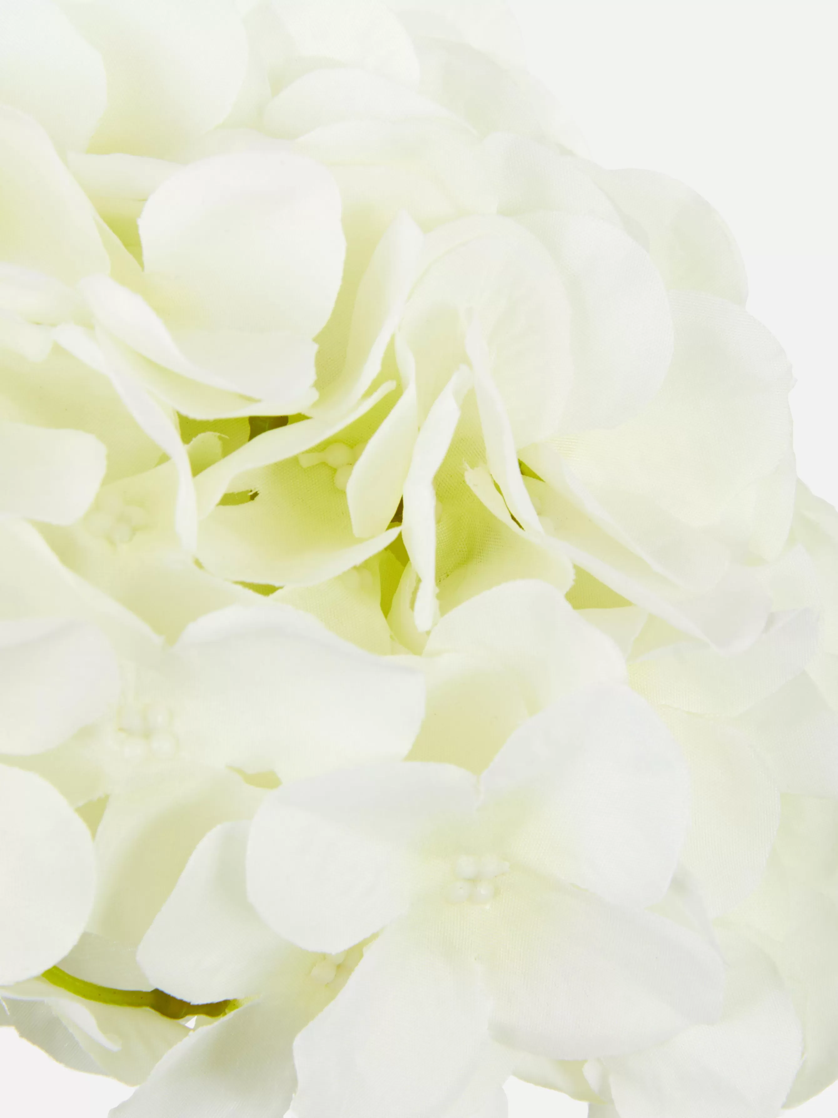 Outlet Primark Tige D'hortensia Artificielle Blanc